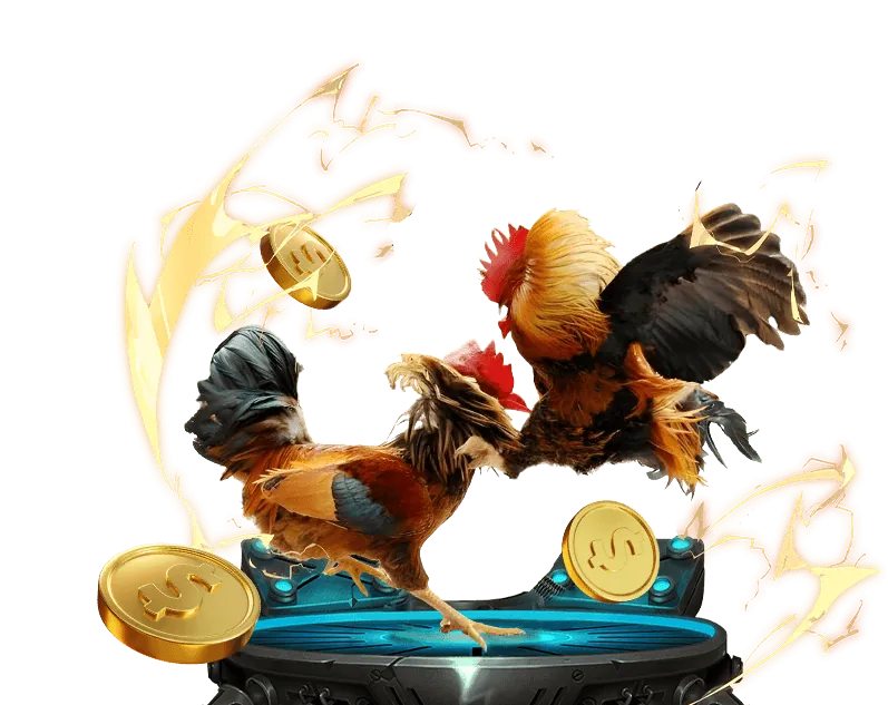 Tổng quan tài nguyên cá cược bd keo nha cai 5